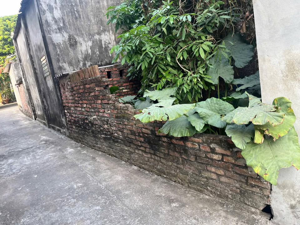 Đất thổ cư xã Gia Lâm 77m² giá 3 tỷ - Đầu tư sinh lời ngay!