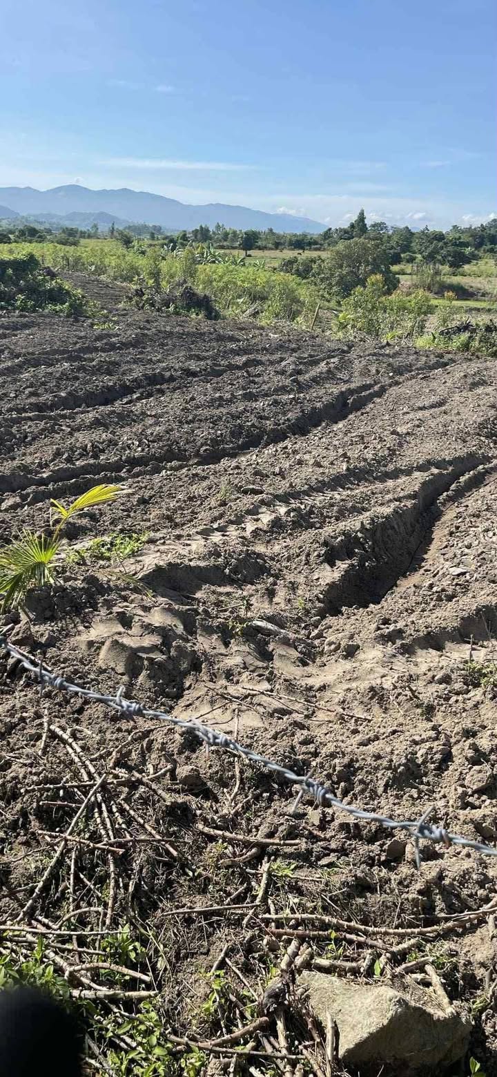 Đất nông nghiệp 1.4ha xã Ya Ma, huyện Kông Chro - Giá chỉ 370 triệu