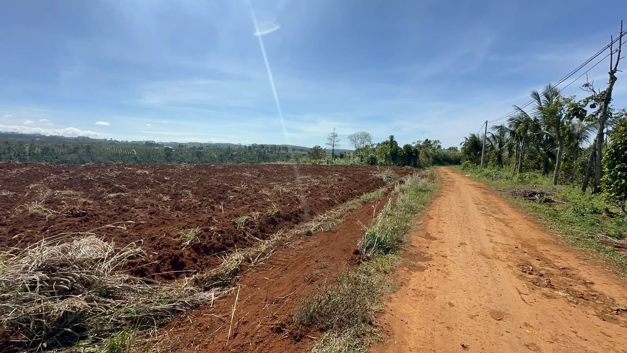 Đất thổ cư 1800m² tại Trường Xuân, Lâm Đồng giá 3.19 tỷ - Cơ hội đầu tư hấp dẫn!