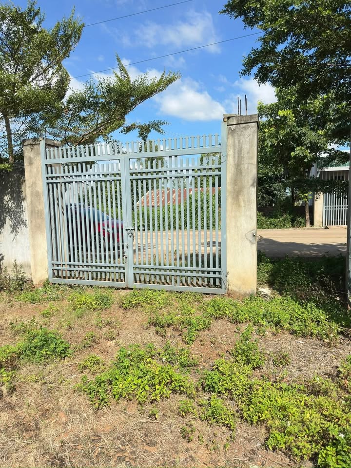 Đất cho thuê mặt tiền đường Liên Thôn 8, Buôn Ma Thuột 1100m² - Phù hợp kinh doanh và sinh sống!