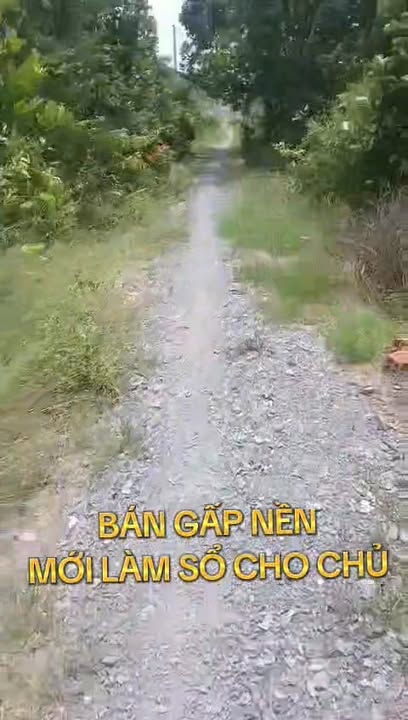 Đất nền Thiện Trung, Cái Bè 383m² giá 400 triệu - Cơ hội đầu tư hấp dẫn!