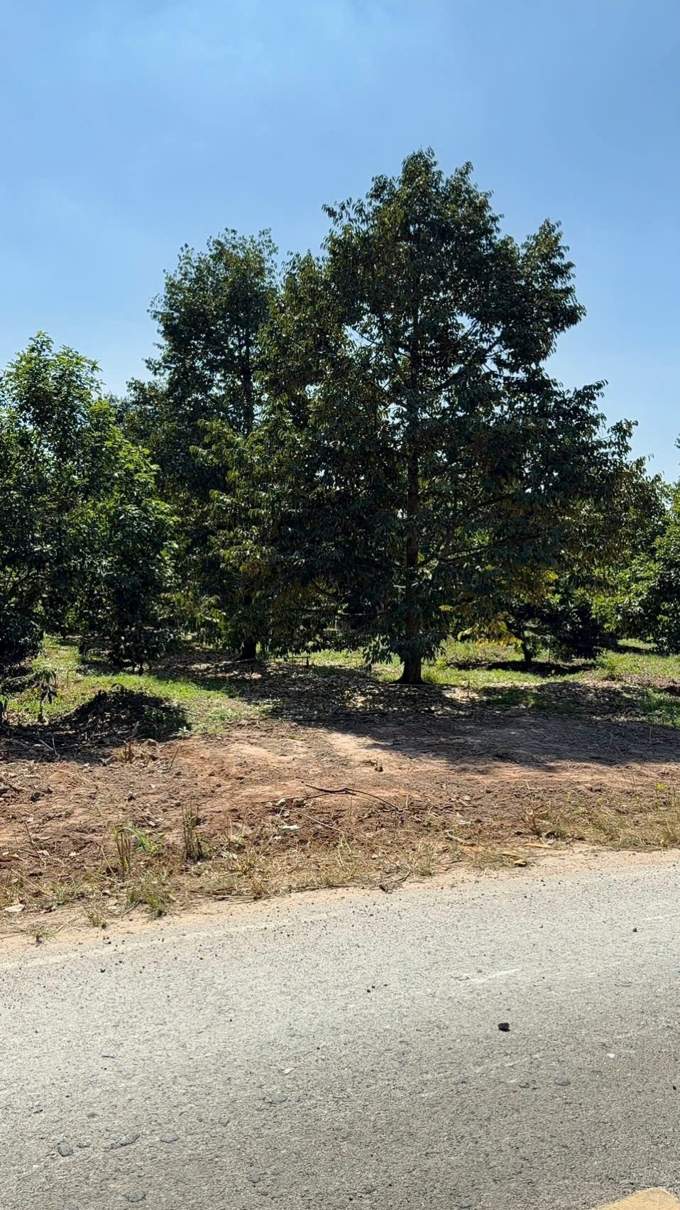 Bán đất 350m² Trừ Văn Thố, Bình Dương giá 400 triệu - Tiềm năng đầu tư sinh lời cao!