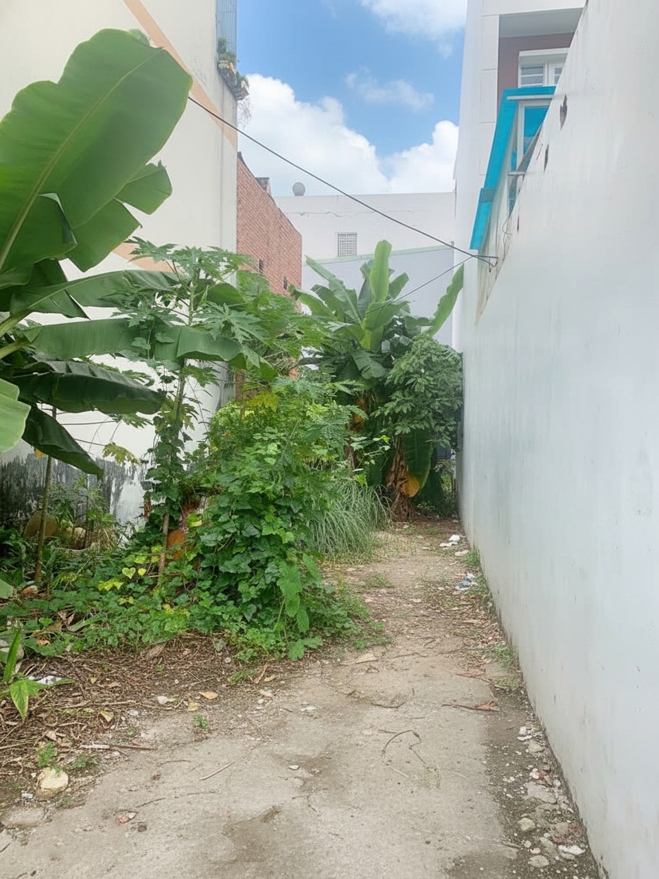 Đất mặt tiền Tân Chánh Hiệp 17, Quận 12, 150m² chỉ 8.8 tỷ - Kinh doanh tuyệt vời!