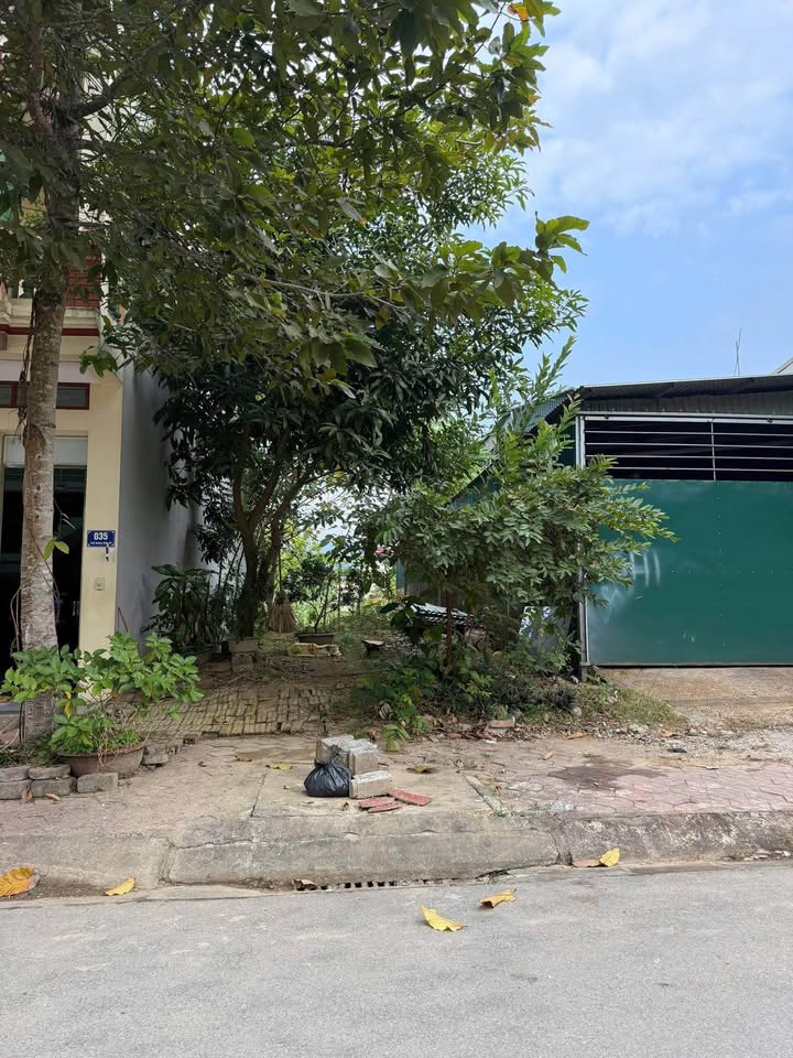 Đất nền khu B9 Đoàn Kết - 100m² giá 1.568 tỷ - Cơ hội đầu tư hấp dẫn!