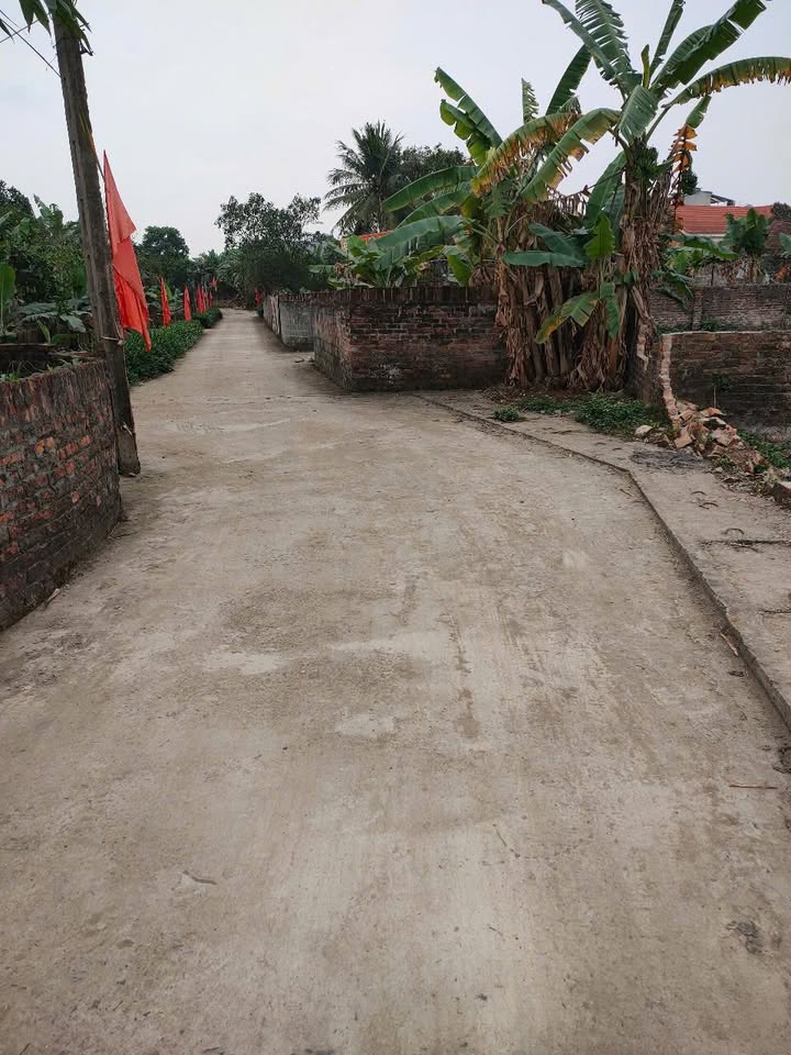 Bán đất Kim Long - Tam Dương 560m² giá 3.2 tỷ - Đầu tư sinh lời tuyệt vời!