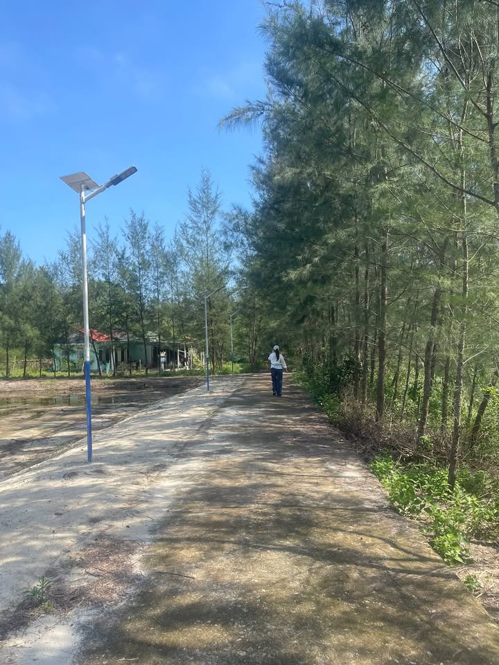 Đất Biển Triệu Cơ 132m² giá 295 triệu - Cơ hội đầu tư hiếm có!