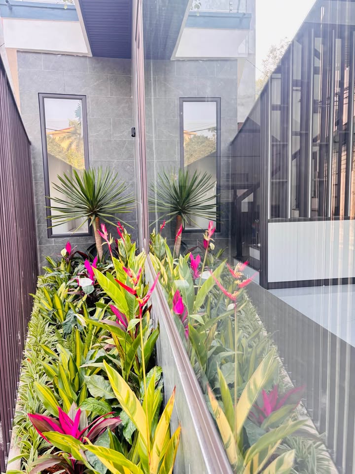 Biệt thự mini 2 mặt thoáng Phú Thái 94m² giá 4 tỷ - Nhà mơ ước cho gia đình bạn!