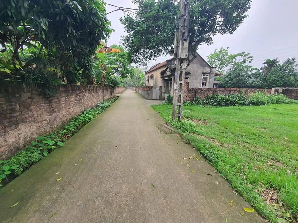 Lô đất 500m² tại phường Trung Thành, TP. Phổ Yên - Đầu tư lý tưởng chỉ 1 tỷ!