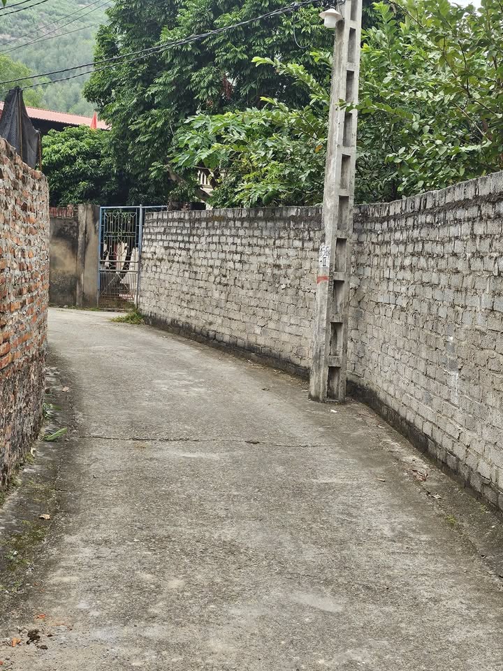 Đất nền thổ cư An Thái Yên Lư 110m² giá 1.x tỷ - Cơ hội đầu tư hấp dẫn!