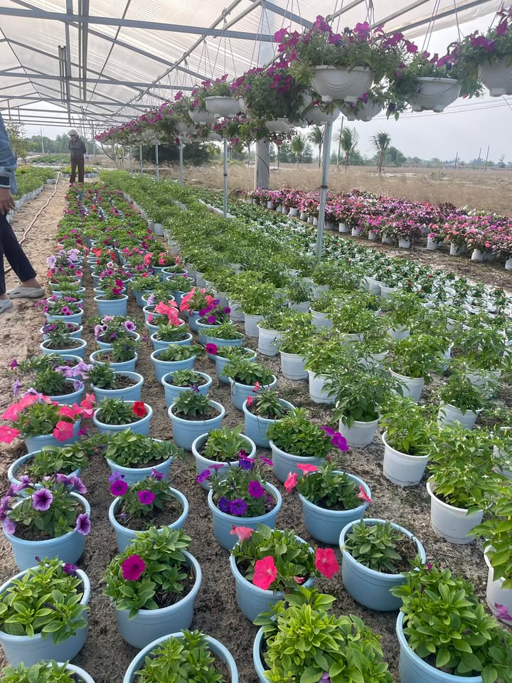 Đất nền xã Quế Phong 1200m² giá chỉ 200 triệu - Sổ hồng chính chủ sẵn sàng giao dịch!