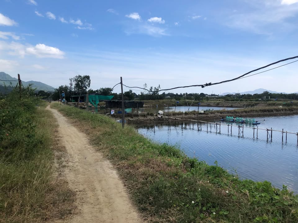 Đất nền Trà Long 2, Phường Ba Ngòi, 4600m² giá 6 tỷ - Đầu tư sinh lời hấp dẫn!