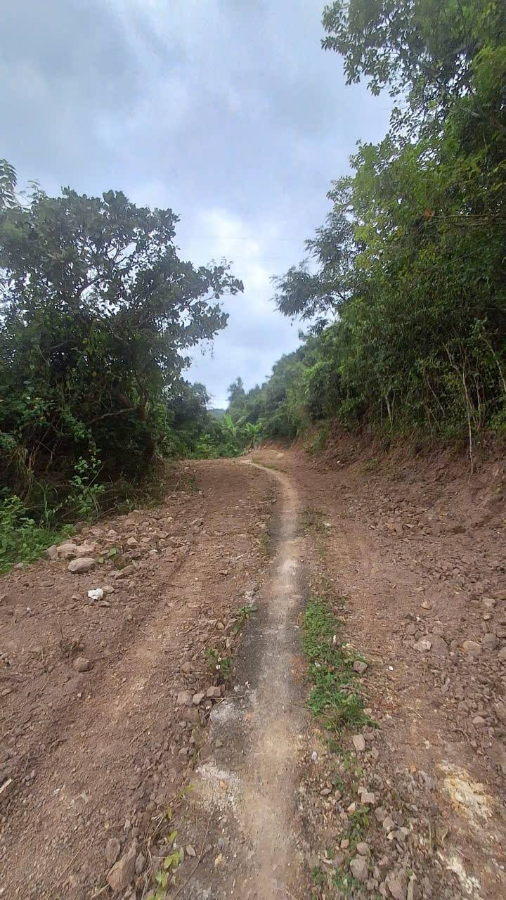 Đất Farm 5.2 hecta tại Diên Khánh 3.3 tỷ - Cơ hội đầu tư tuyệt vời!