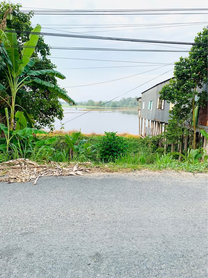 Đất làm vườn nghỉ dưỡng tại An Giang 7.614m² giá chỉ 5.2 tỷ - Cơ hội đầu tư không thể bỏ qua!