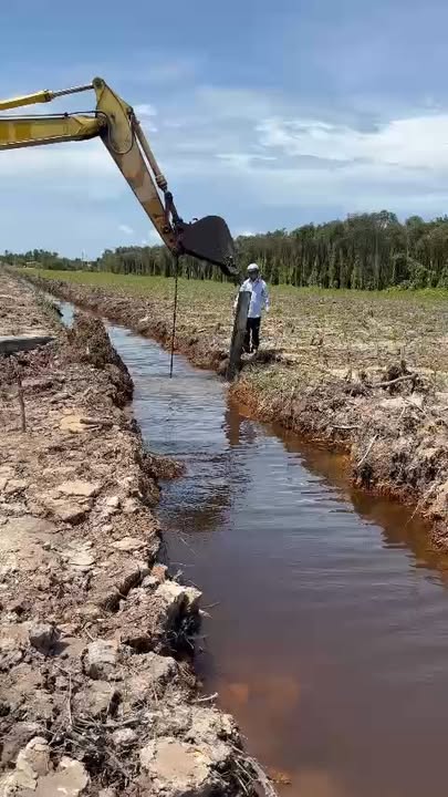 Lô đất 2 mặt tiền Quốc lộ Đức Hòa 26,000m² - Tiềm năng đầu tư lớn!