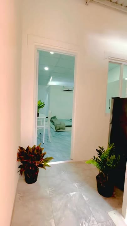 Căn hộ K300 Tân Bình 1PN tách bếp giá 4.999 triệu - Sẵn sàng vào ở ngay!