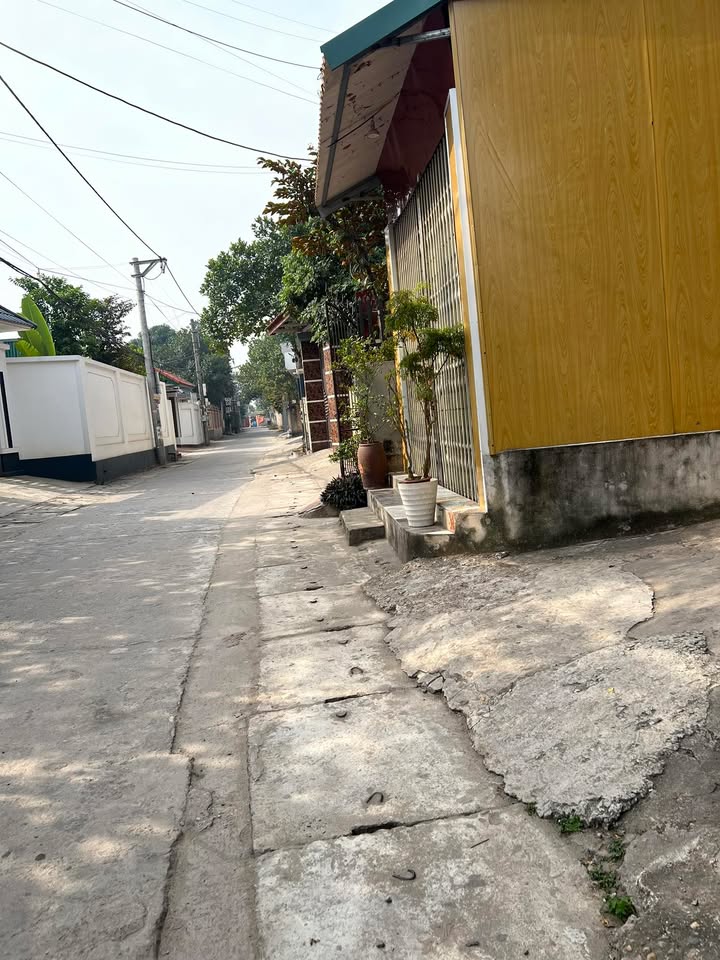 Đất Thạch Đà Mê Linh 115m² giá chỉ 20 triệu - Ngõ ô tô vào tận nơi!