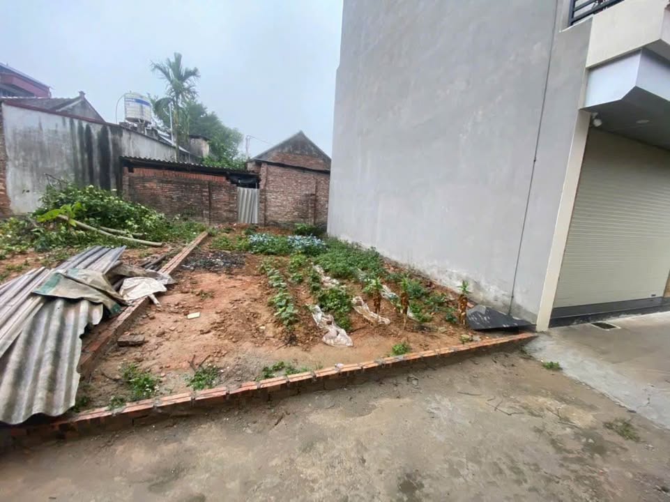 Đất nền Đa Tốn Gia Lâm 46m² giá 3 tỷ - Sở hữu ngay vị trí vàng!