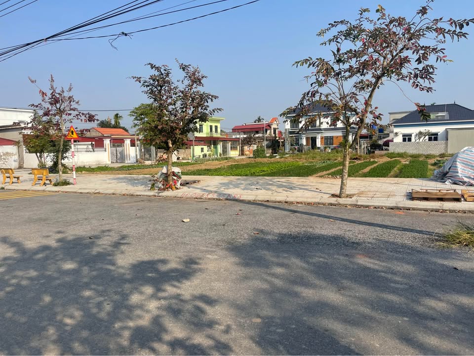 Đất nền Thụy Dân Thái Thụy 115m² giá 1.1 tỷ - Gần hồ điều hòa mát mẻ!