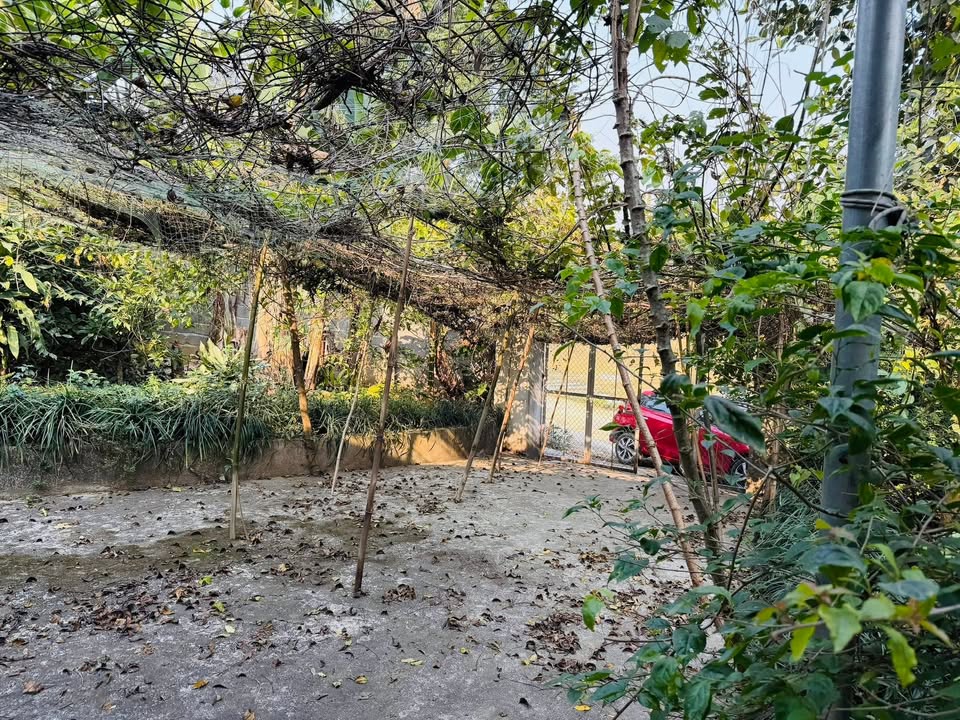 Đất thổ cư 933m² tại Cao Dương, Lương Sơn - Giá thỏa thuận hấp dẫn!