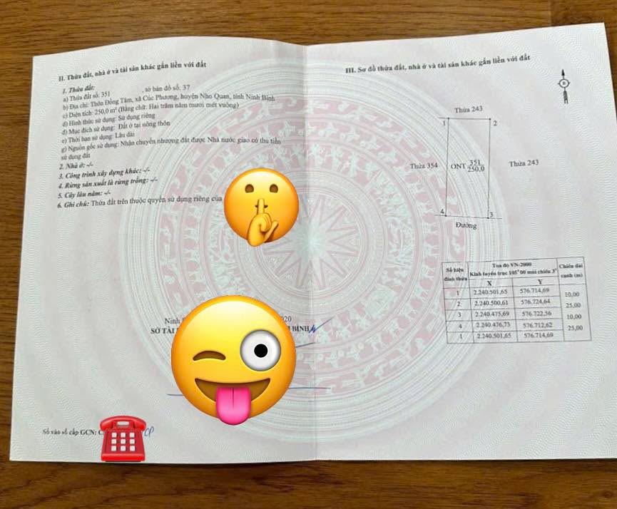 Đất nền Đồng Tâm, Cúc Phương 250m² giá 2 tỷ - Sổ hồng chính chủ ngay!