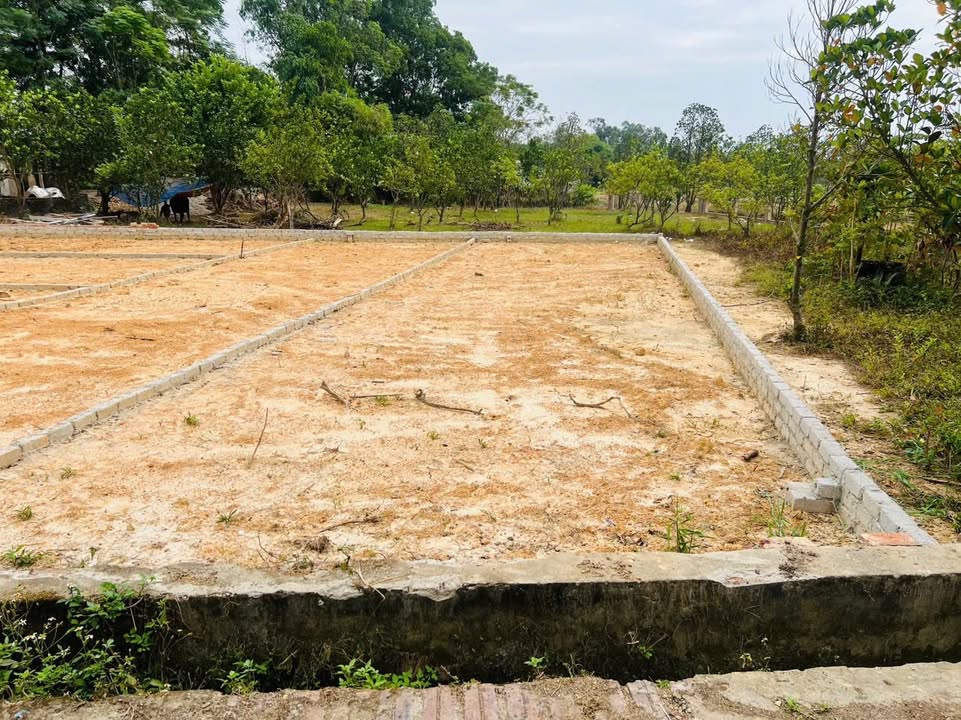 Đất nền Thị trấn Bắc Lý 116m² giá 800 triệu - Đường thông ô tô vào thoải mái!