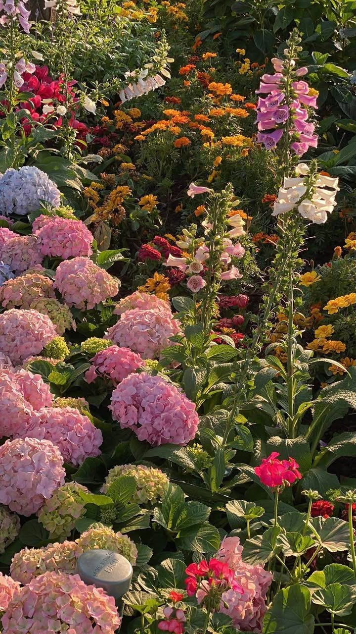 Đất Đô Thị Phú Xuân Thái Bình 71,4m² - Sổ đỏ chính chủ, giá thỏa thuận!