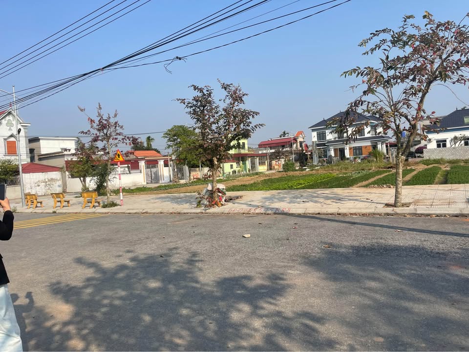 Đất thổ cư Xã Thụy Dân, Huyện Thái Thụy, 115m² giá 1 tỷ - Cơ hội đầu tư tuyệt vời!