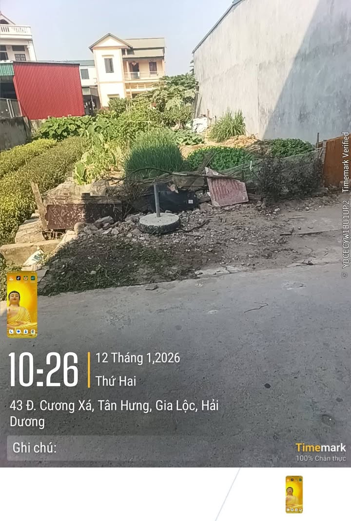 Đất nền Khu Cương Xá Tân Hưng 116m² giá 2.x tỷ - Đường thông ô tô 10 tấn