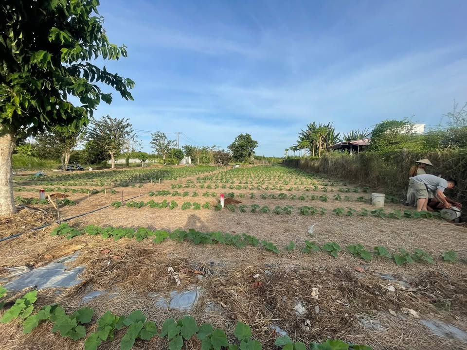 Đất nền mặt tiền Nguyễn Viết Xuân, 300m², giá 3.8 tỷ - Cơ hội đầu tư tuyệt vời!