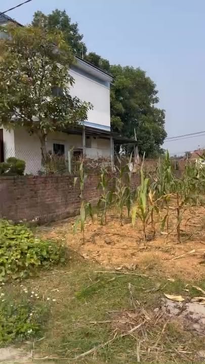 Đất TĐC Hà Lộc, Phú Thọ 100m² giá 1 tỷ - Vị trí vàng cho đầu tư!