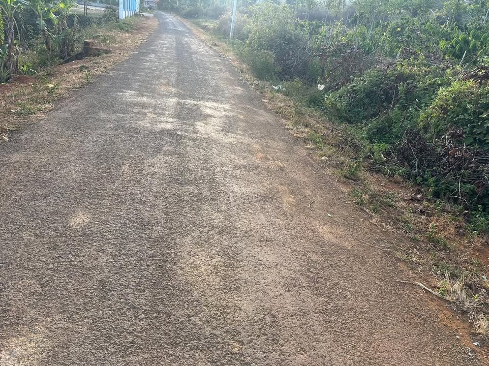 Đất nền Đăk Rung 176m² giá 340 triệu - Sổ hồng chính chủ, vị trí đẹp!