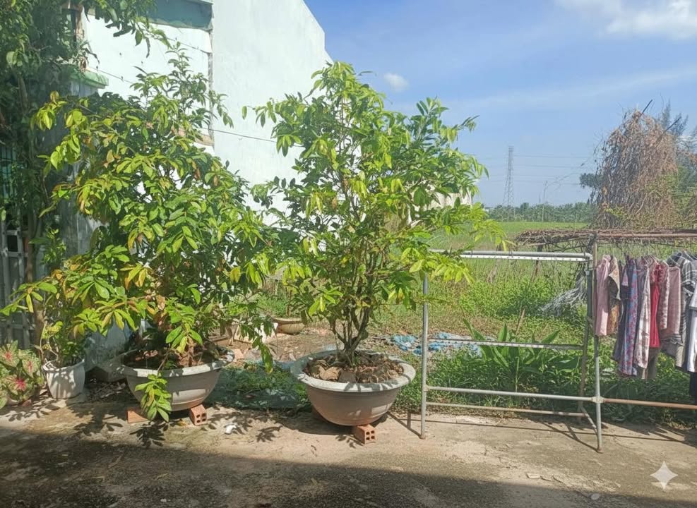 Đất thổ cư Phong Nẫm, Phan Thiết 105.8m² giá 580 triệu - Sổ hồng riêng, sang tên ngay!