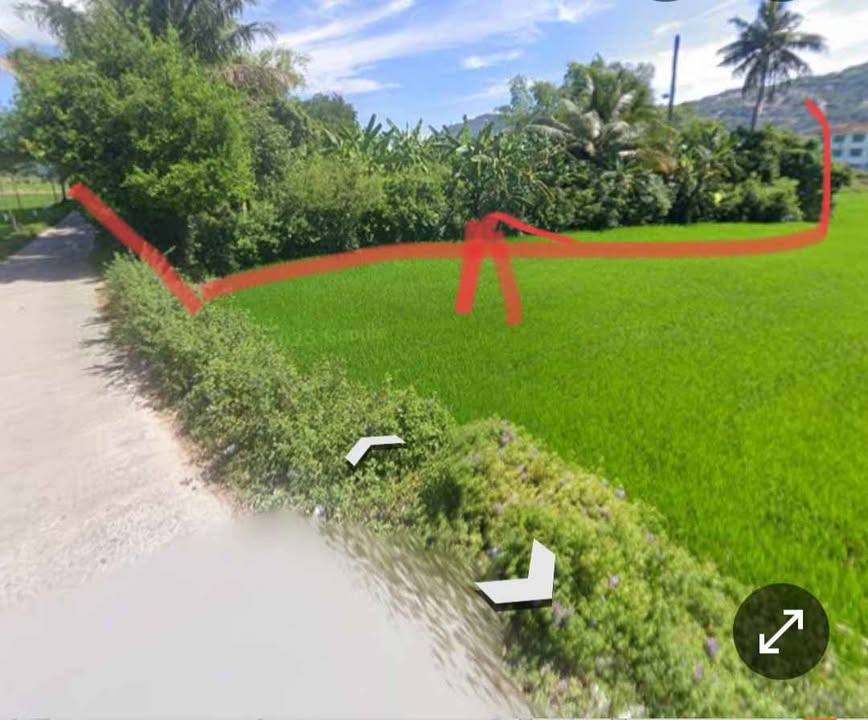 Đất trồng cây lâu năm tại Trần Quốc Hoàn, Cầu Giấy, 1255m² - Cơ hội đầu tư hấp dẫn!