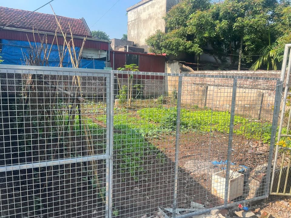 Đất biệt thự mini Hưng Yên 110m² giá nhỉnh 2 tỷ - Đầu tư sinh lời ngay!