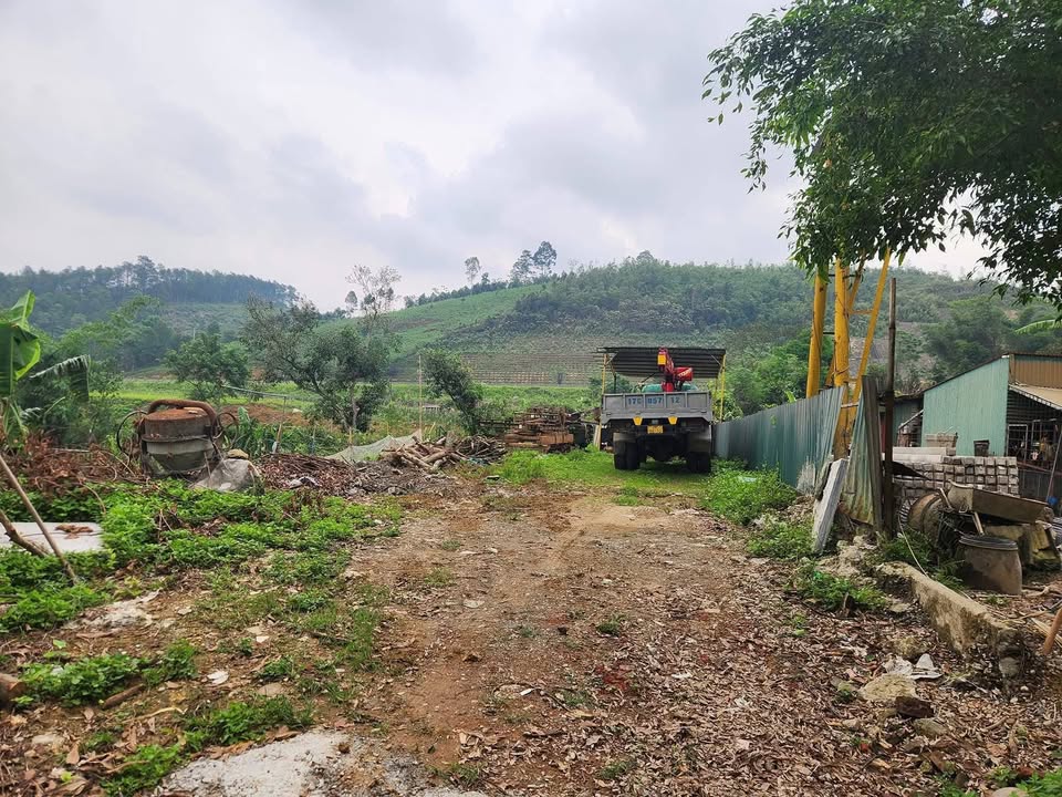 Đất thổ cư 176m² tại Xã Đồng Tuyển, Lào Cai - Giá chỉ 900 triệu, thương lượng!