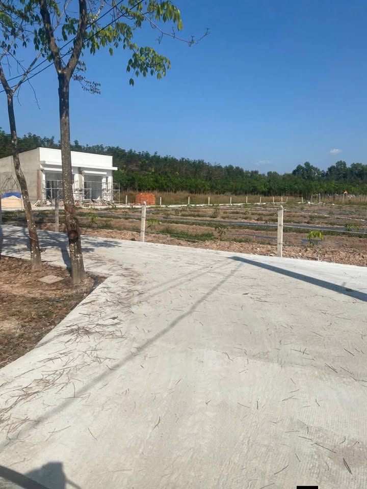 Đất thổ cư Bến Cát 115m² giá chỉ 990 triệu - Cơ hội hiếm có cho nhà đầu tư!