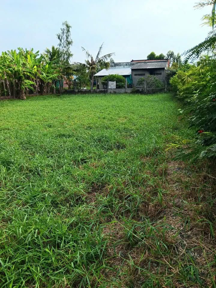 Đất nền Vĩnh An, Ba Tri, Bến Tre 678m² giá 150 triệu - Cơ hội đầu tư tuyệt vời!