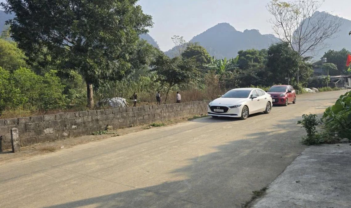 Đất nền Gia Lâm Nho Quan 146m² - Giá chỉ 6xx triệu, đầu tư sinh lời!