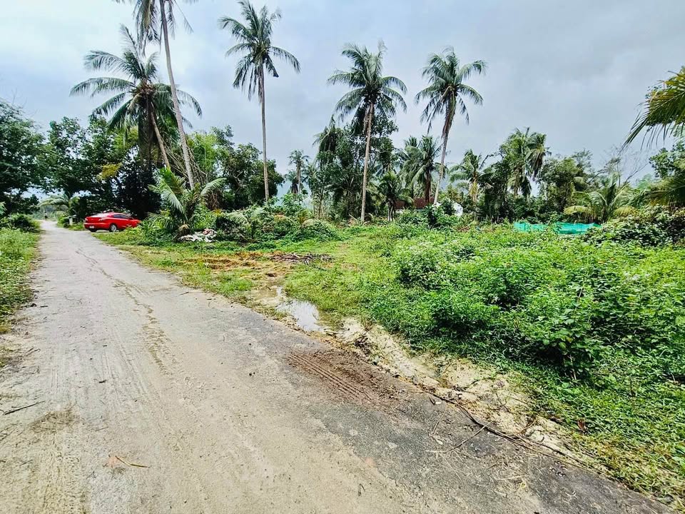 Đất thổ cư Hội Phú, Mỹ Hòa 655m² giá 399 triệu - Sổ hồng đầy đủ!