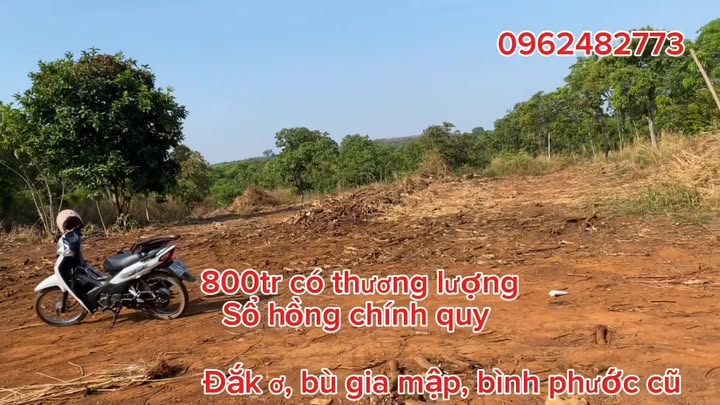 Đất nền 2000m² tại Huyện Chơn Thành - Giá chỉ 800 triệu, cơ hội đầu tư hấp dẫn!
