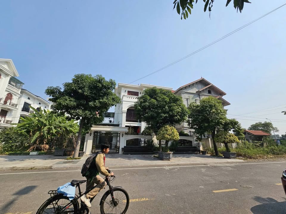 Đất biệt thự Đại Hoàng Long Bắc Ninh 270m² giá 21 tỷ - Vị trí đẹp, giao thông thuận lợi!