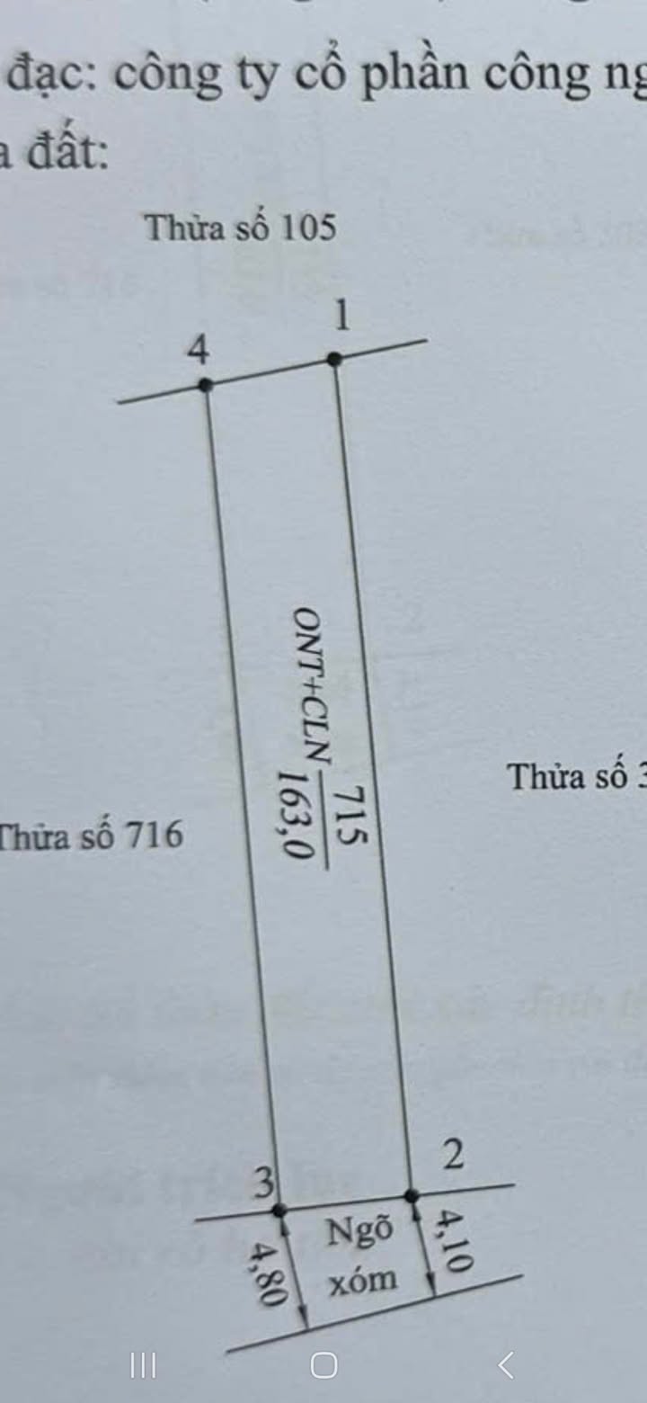 Đất nền Tân Hưng Vĩnh Bảo 163m² - Đường thông ô tô vào tận sân!