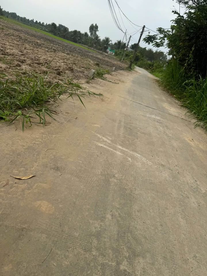 Đất nền Nhơn Thạnh Trung, TP Tân An 110m² giá 680 triệu - Cơ hội đầu tư hấp dẫn!