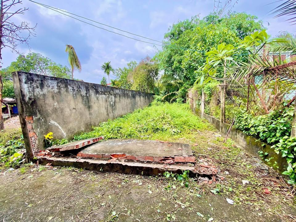 Đất Hưng Định, Thuận An 97.5m² giá 1.95 tỷ - Bán gấp, hỗ trợ ngân hàng!