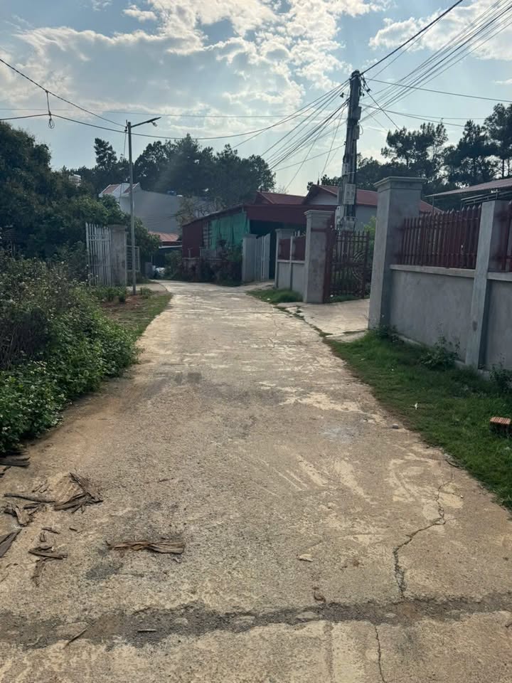 Đất Bản Áng, Đông Sang, Mộc Châu 277m² giá 3 tỷ - View rừng thông tuyệt đẹp!