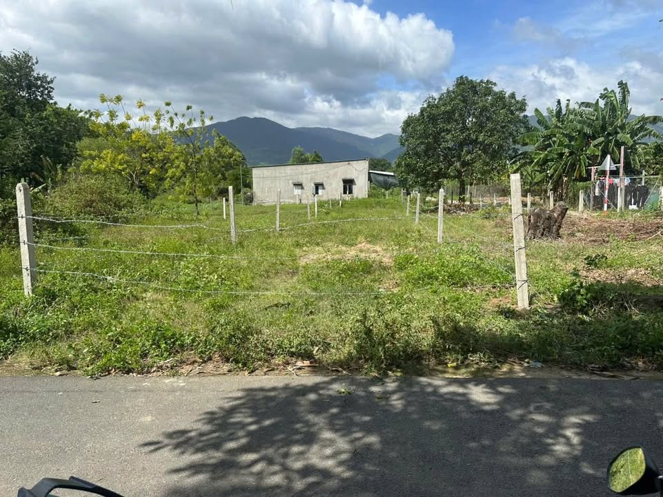 Đất thổ cư 240m² thôn Tân Lập, Cam An 950 triệu - Đường ô tô vào tận nơi!