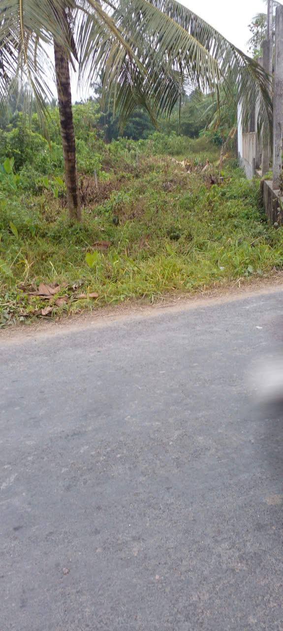 Đất mặt tiền đường huyện 34, xã Phong Phú, 300m² - Giá 600 triệu có thương lượng!