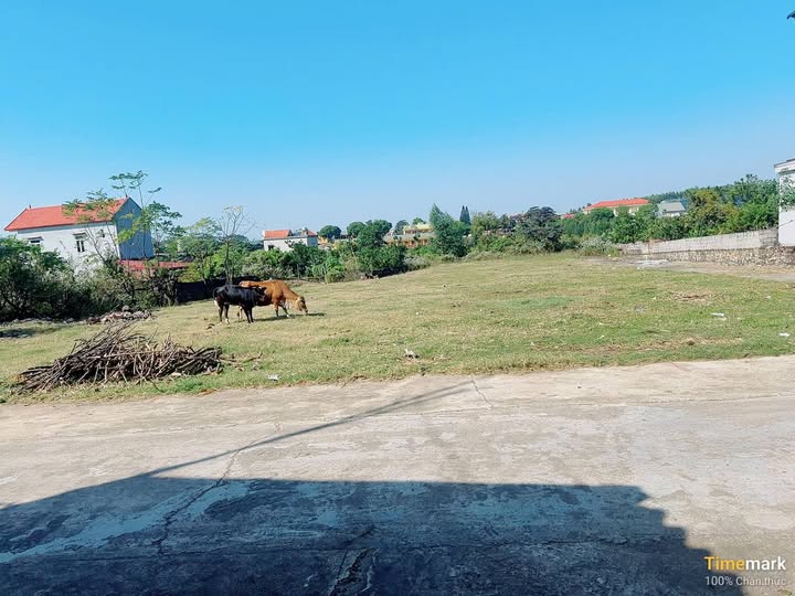 Đất nền xã Lan Mẫu Lục Nam 96m² giá chỉ 7XX triệu - Vị trí đắc địa, dân cư đông đúc!