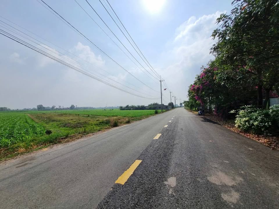 Đất mặt tiền Võ Văn Điều, xã Thái Mỹ 1.374m² giá 3.3 tỷ - Cơ hội đầu tư tuyệt vời!