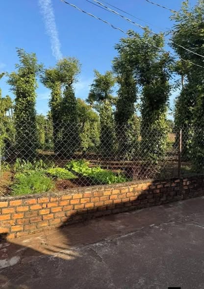 Đất nền liền kề tại Buôn Ma Thuột 150m² giá 800 triệu - Đầu tư sinh lời ngay!